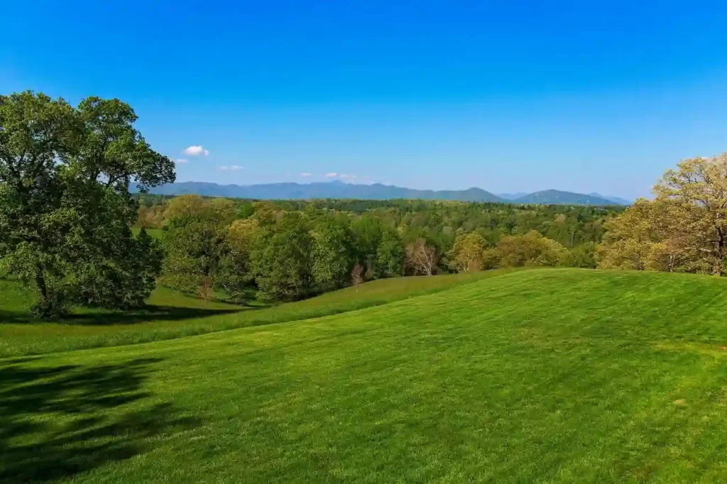 Top Neighborhoods in Baltimore Forest